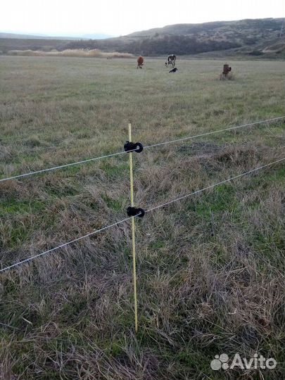 Электропастух для коров