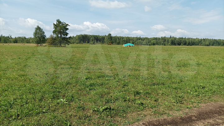 Участок 5 га (СНТ, ДНП)