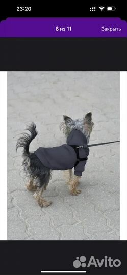 Худи,толстовка,кофта для собаки маленькой