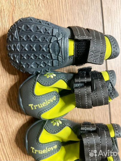 Обувь для собак