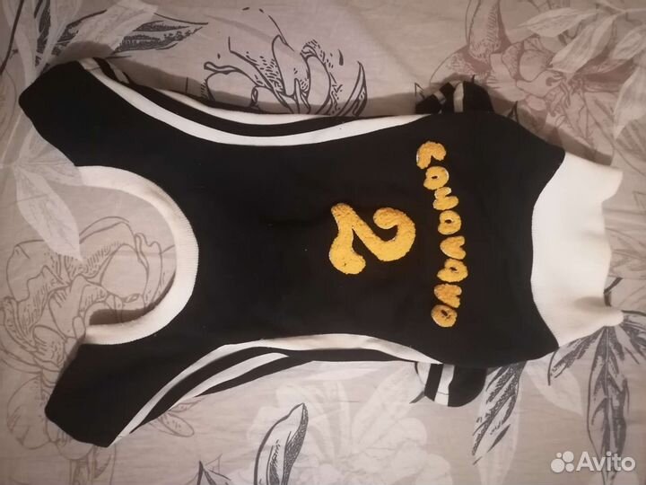 Одежда для средних собак