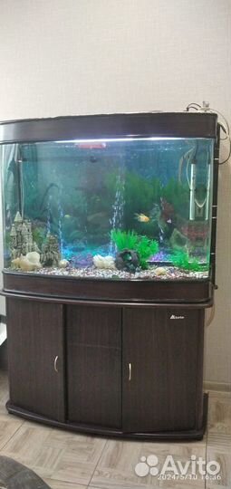 Аквариум