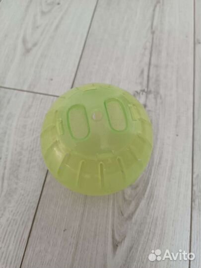 Прогулочный шар для грызунов