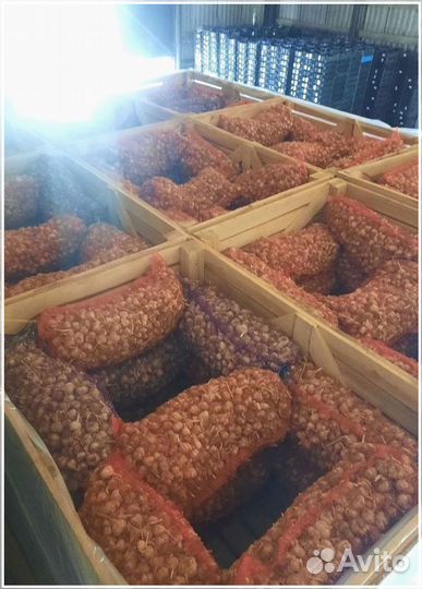 Привлекаем инвестиции до 50 проц годовых