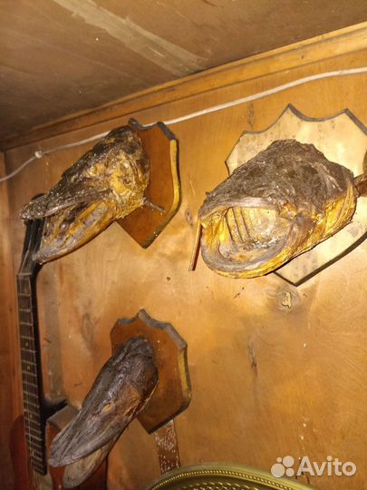 Чучело рыбы