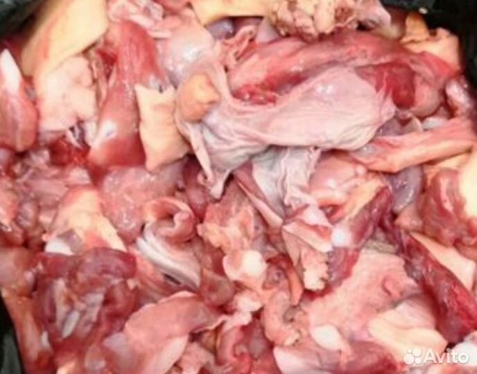 Обрезки говяжьи и куриные для собак