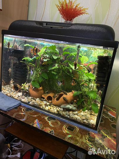 Аквариум