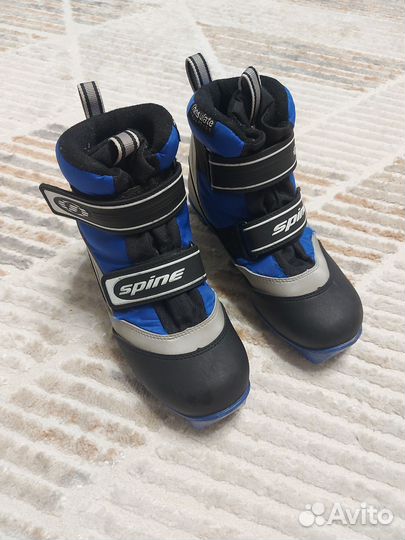 Лыжные ботинки spine