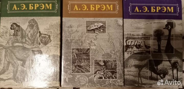 Брэм жизнь животных