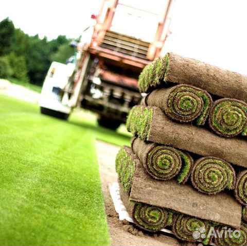 Укладка и продажа рулонного газона