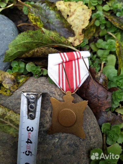 Орден медиков 1864 год