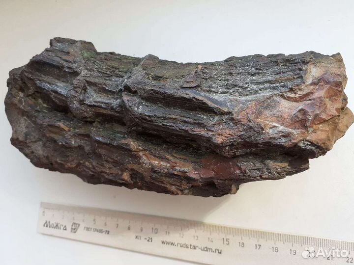 Окаменелое дерево