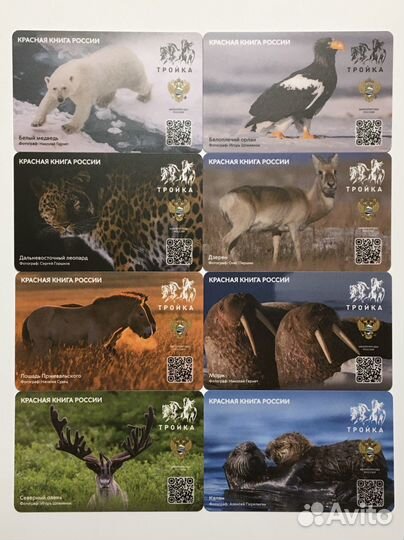Животные Красная книга России карты метро Тройка