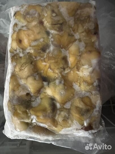 Мясо рапана