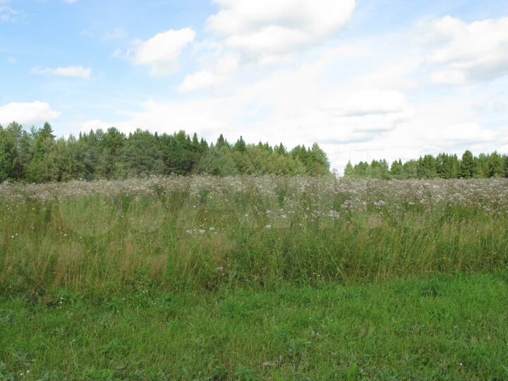 Участок 19 сот. (ИЖС)