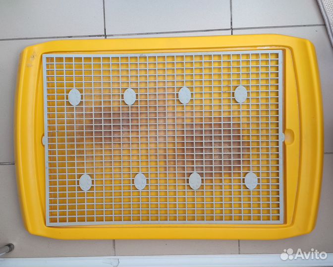 Туалет для собак 70*47 см