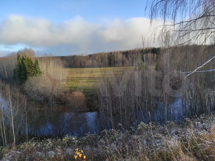 Участок 54 сот. (СНТ, ДНП)