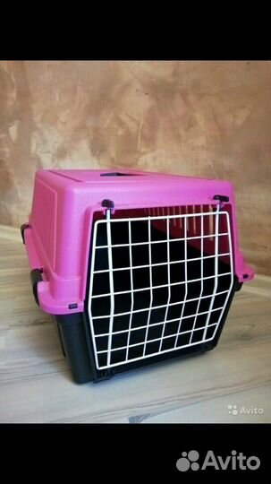 Переноска в аренду