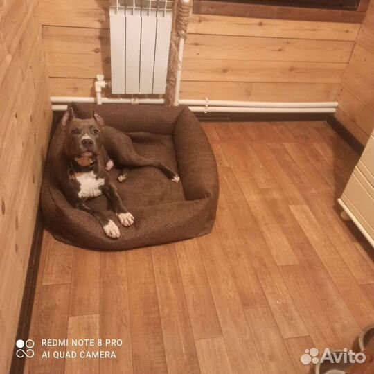 Зоогостиница