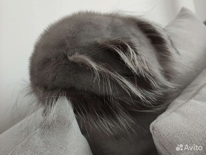 Шапка норковая легкая