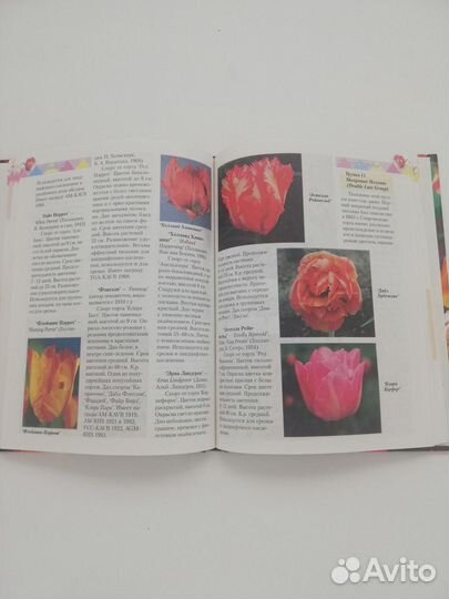 Книги Цветы для дачи, секреты молодости