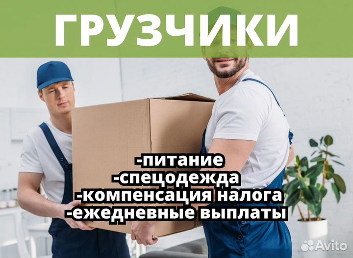 Грузчики на мясокомбинат.tm538