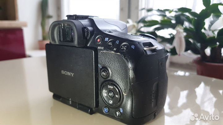 Sony Alpha SLT-A65+16-50mm f/2.8 SSM