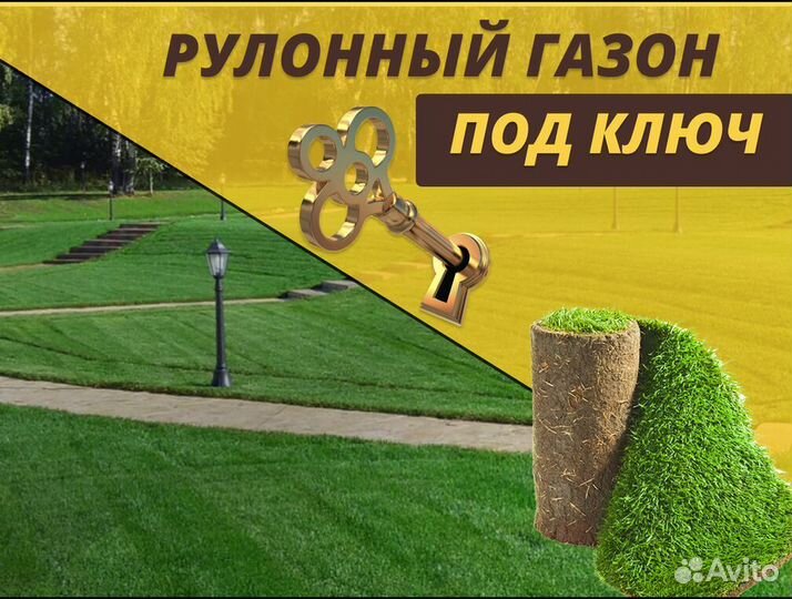 Рулонный газон под ключ