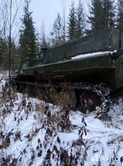 Снегоболотоход