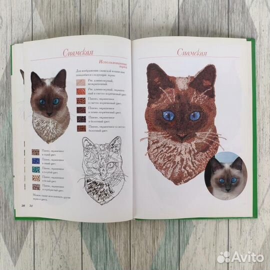 Как создать оригинальные картины из зёрен