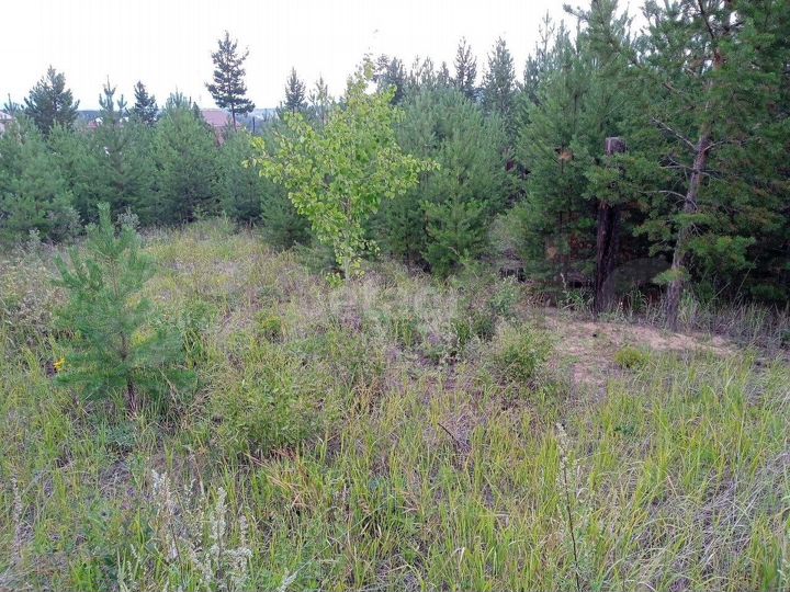 Участок 7,5 сот. (ИЖС)