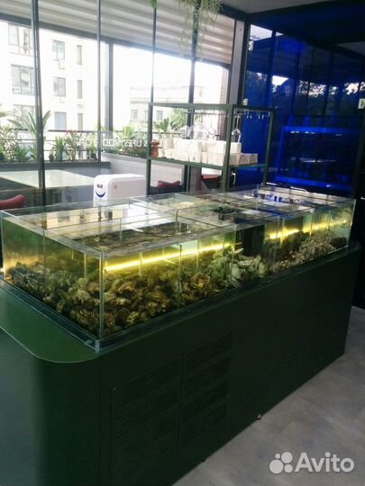 Продаю аквариумы