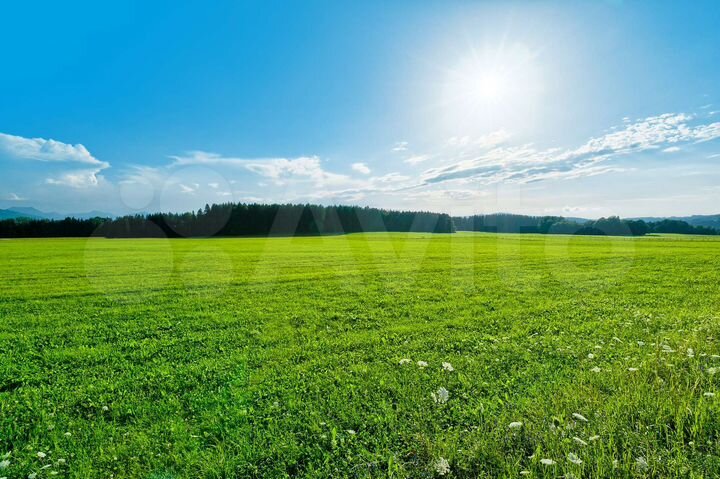 Участок 2,49 га (СНТ, ДНП)