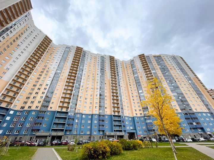 2-к. квартира, 55,8 м², 4/24 эт.