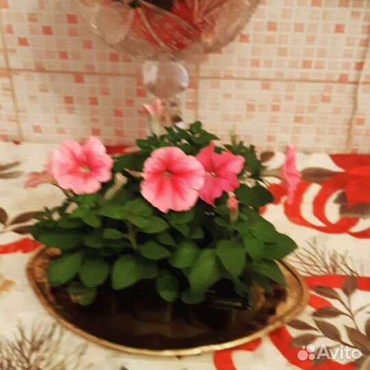 Душевный разговор