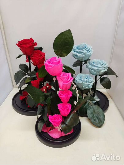 Новогодний подарок / Роза в колбе