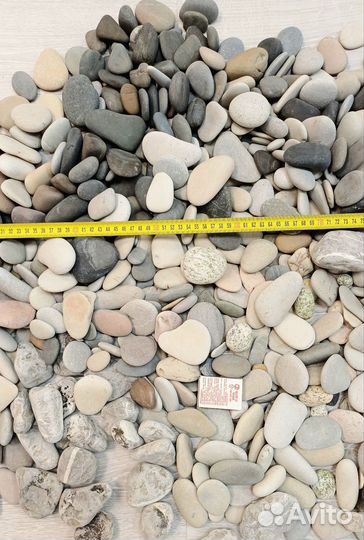 Морская галька, натуральный грунт