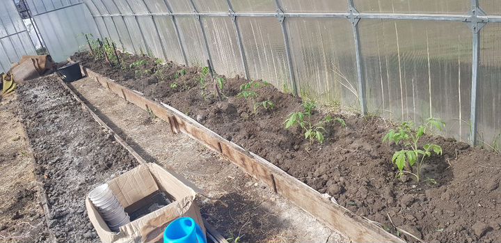 Дача 100 м² на участке 6 сот.