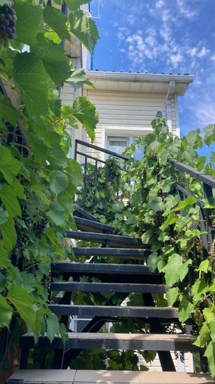 Комната 15 м² в 1-к., 3/3 эт.