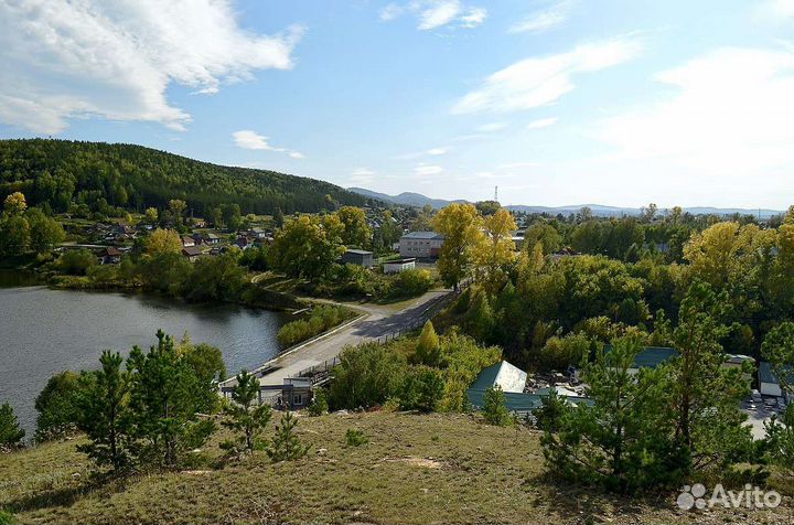 Мед,Алтайский