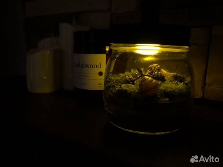 Флорариум, мохариум