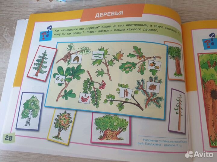 Альбом по развитию речи