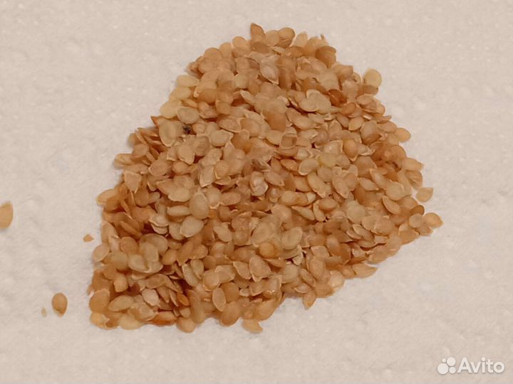 Семена картофеля