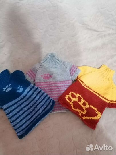 Одежда для маленьких собак