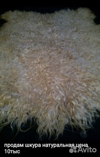 Ковер шкура натуральная