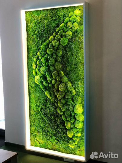 Экологичный дом: стены из растений. Арт: 215325