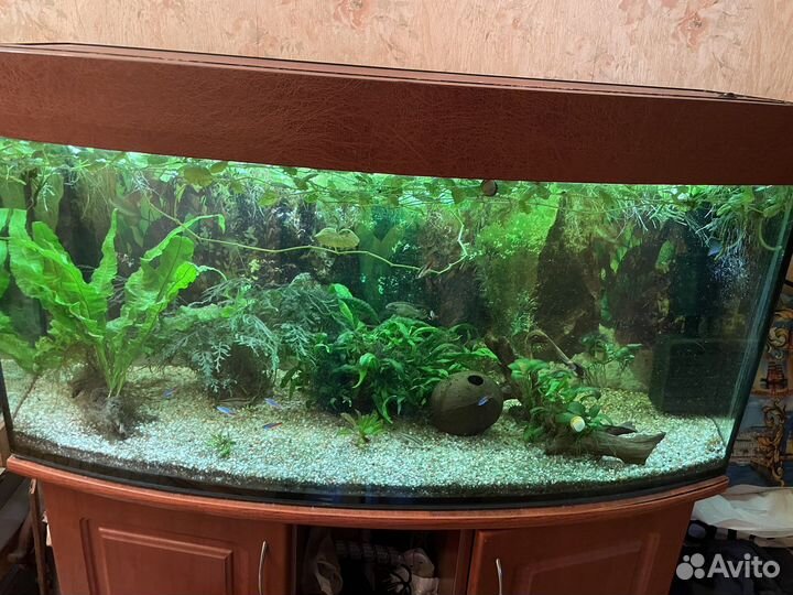 Аквариум с тумбой 180л