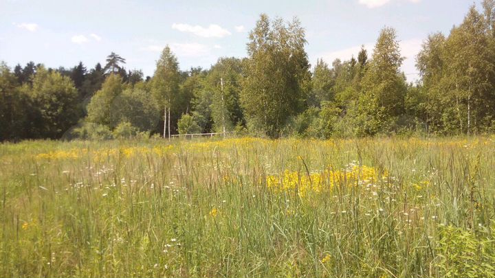 Участок 18 сот. (СНТ, ДНП)