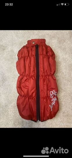 Одежда для средних собак