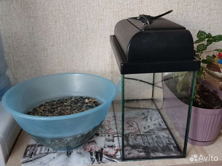 Аквариум 15 литров